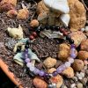 Anti-Stress & Safe Travel Gemstone Bracelet